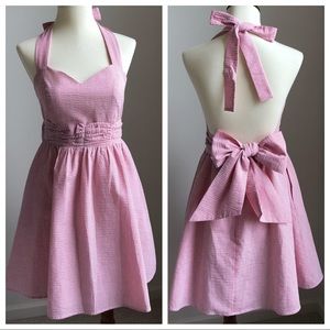 Lauren James Pink Stratton Seersucker Dress Size S